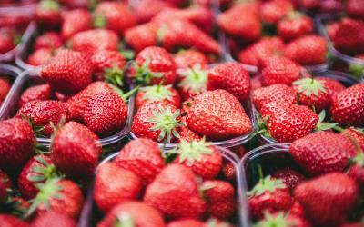 Erdbeeren in Kunststoff-Verkaufstassen