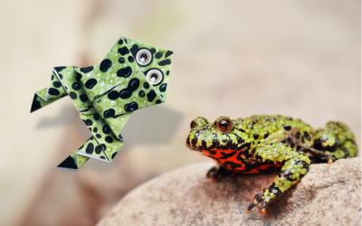 Rotbauchunke und gefalteter Origamifrosch auf einem Stein