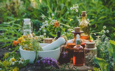 auf einem kleinen Tisch mitten in einer Kräuter und Blumenwiese stehen viele kleine Fläschchen mit Flüssigkeiten gefüllt und ein Mörser in dem Kräuter verarbeitet werden. 