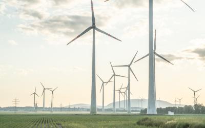 Zahlreiche Windräder auf einem Feld