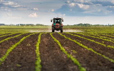 Pestizide werden auf einem Feld versprüht