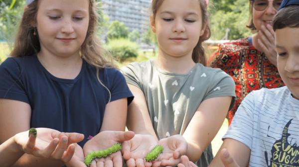 Kinder beim 2. Österreichischen Raupentag