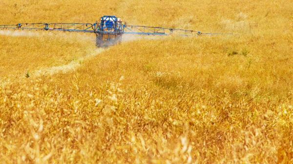 Traktor fährt über Feld und versprüht Glyphosat