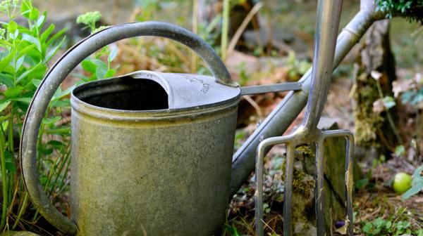 Gießkanne im Garten