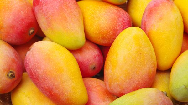 Mangos