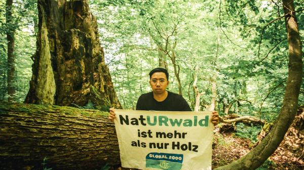 Aktivist sitzt am Waldboden und hält ein Plakat in die Kamera, worauf "Naturwald ist mehr als nur Holz" steht.