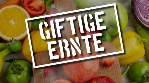 Giftige Errnte