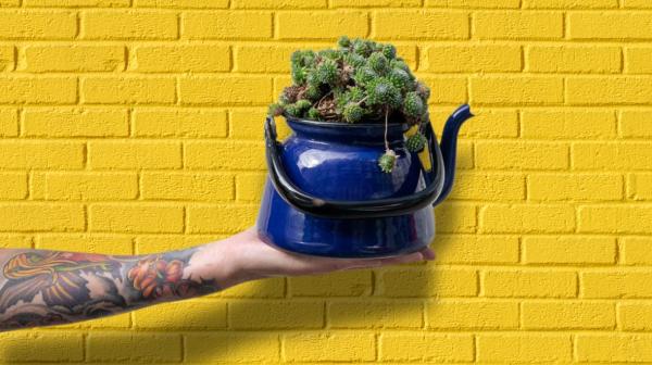 Tatoowierte Hand hält blaue Kanne mit Pflanze in der Hand