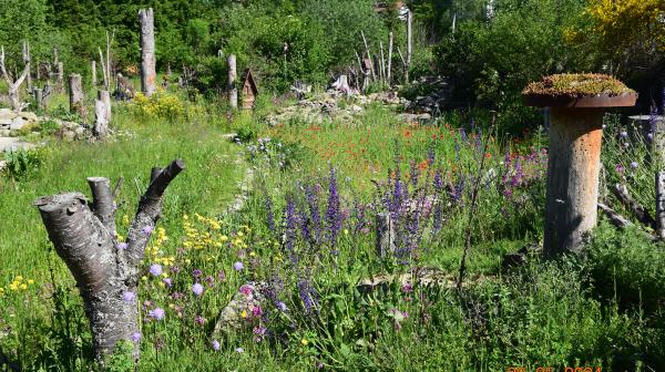Eine Garten mit vielen Blumen und Baumstämmen, die ein herrliches Biotop für verschiedene Tiere bieten. 
