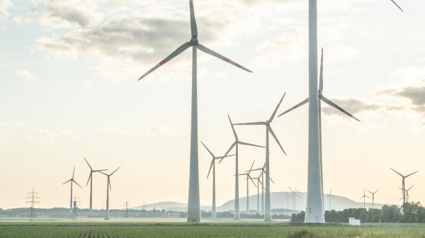 Zahlreiche Windräder auf einem Feld