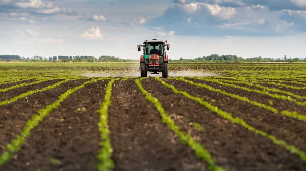 Pestizide werden auf einem Feld versprüht